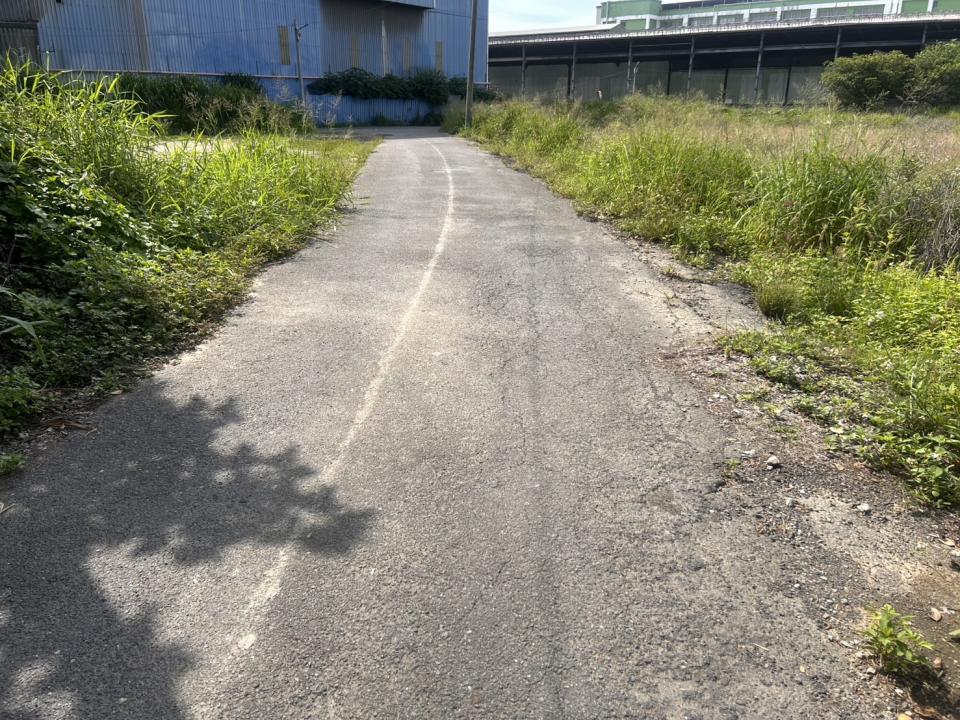園藝維護案件圖片