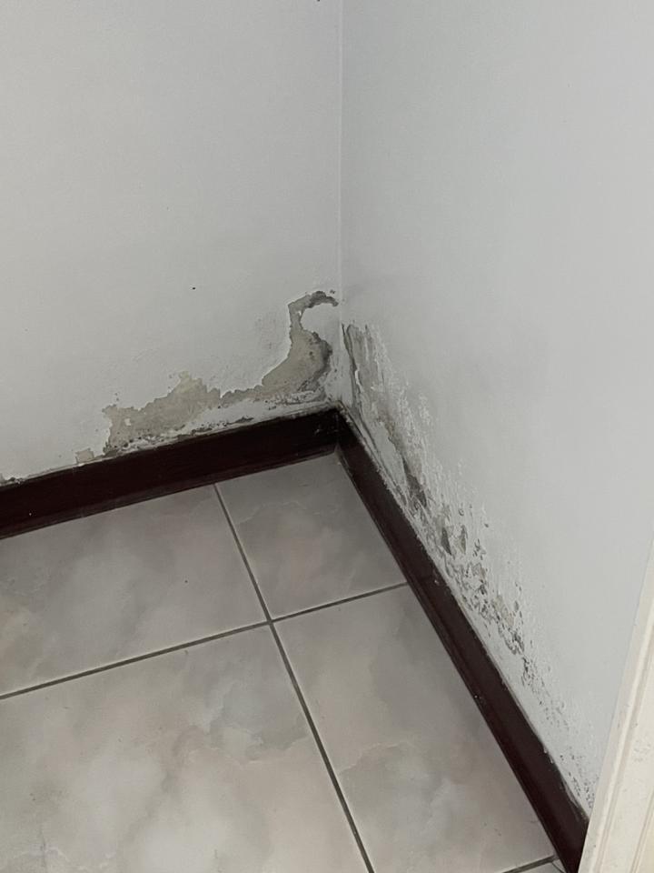 油漆工程案件圖片