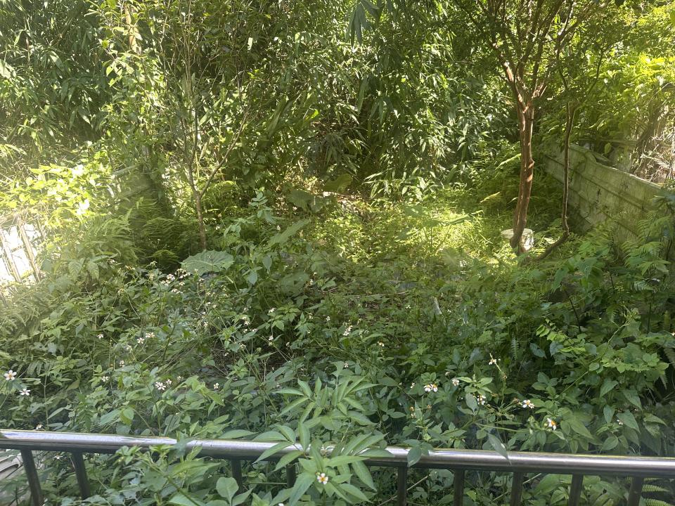 園藝維護案件圖片