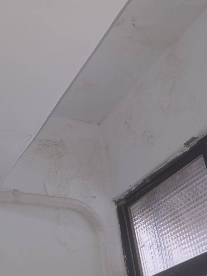 抓漏案件圖片