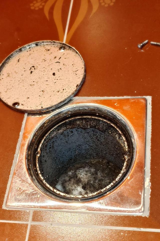 環保工程案件圖片