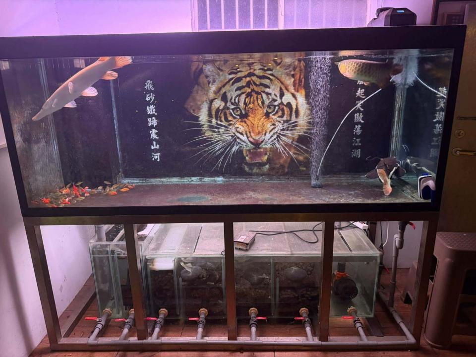 搬家案件圖片