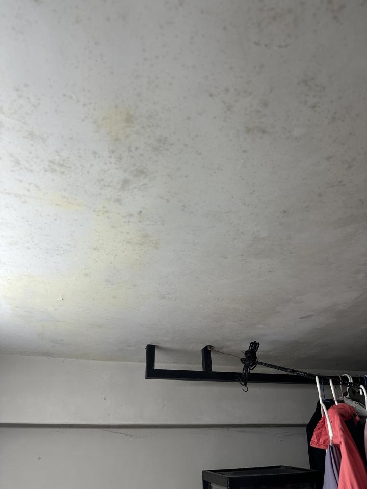油漆工程案件圖片