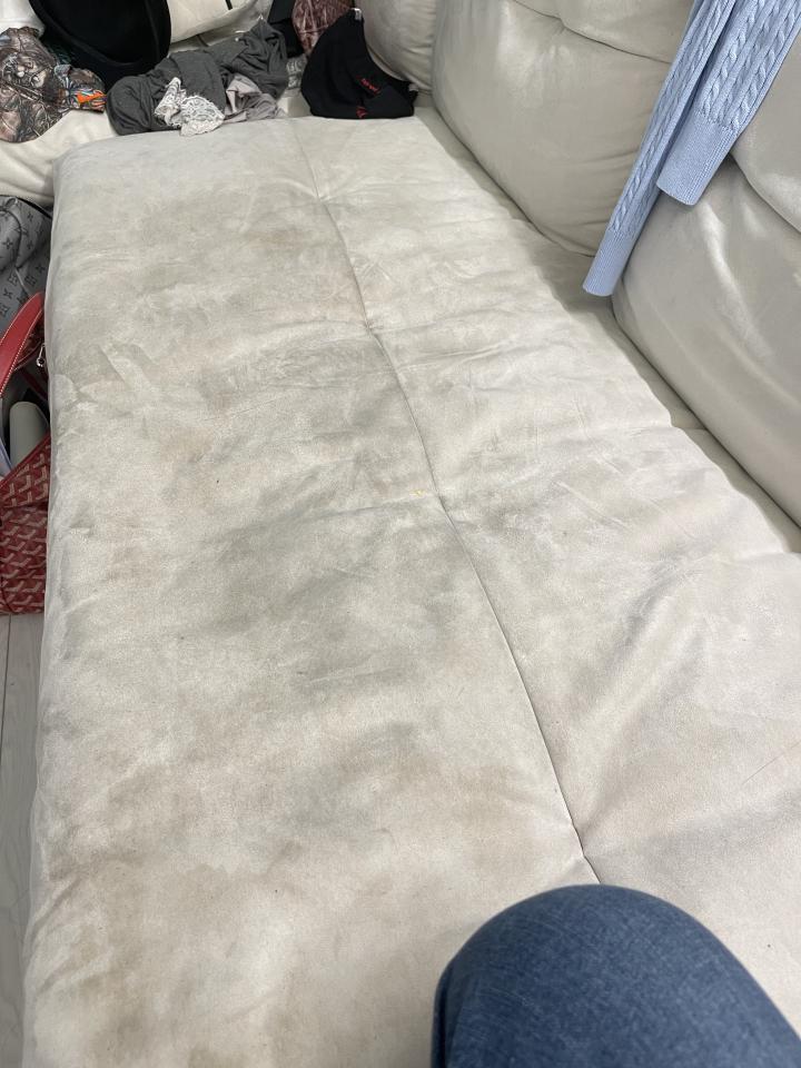 沙發清潔案件圖片