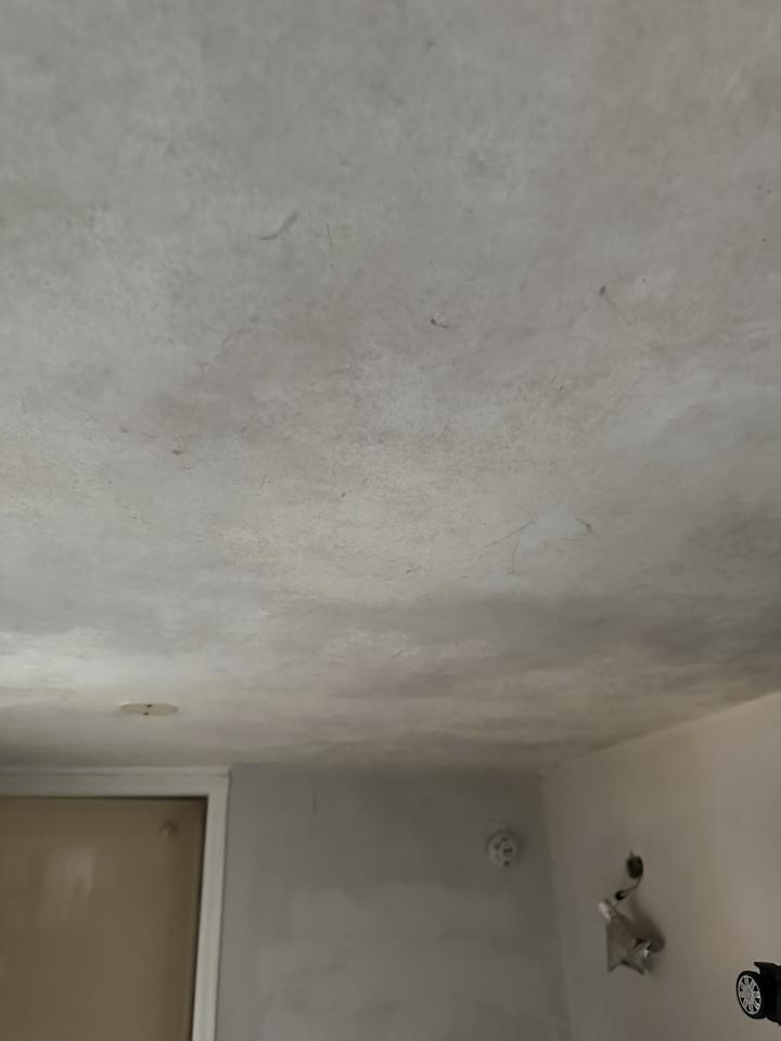 油漆工程案件圖片