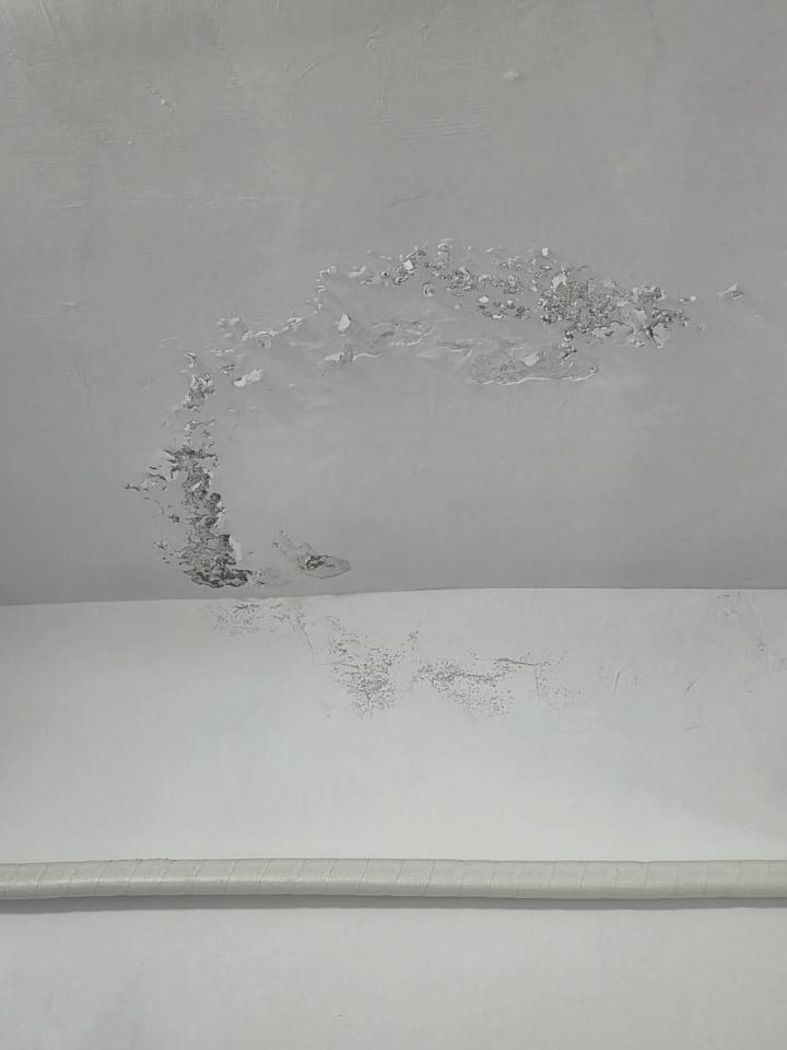 抓漏案件圖片