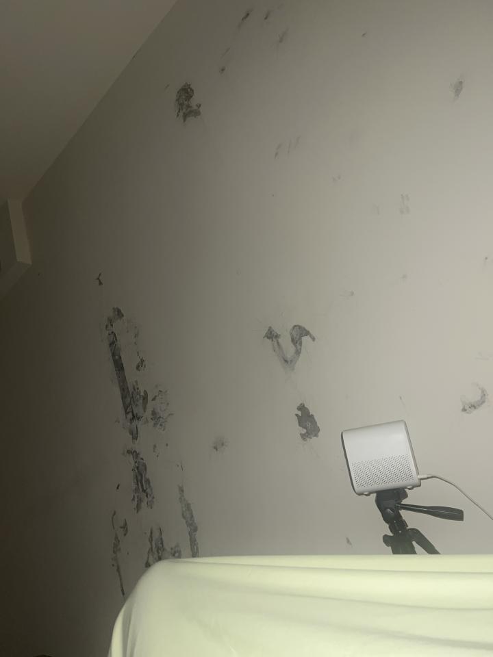 壁癌處理案件圖片