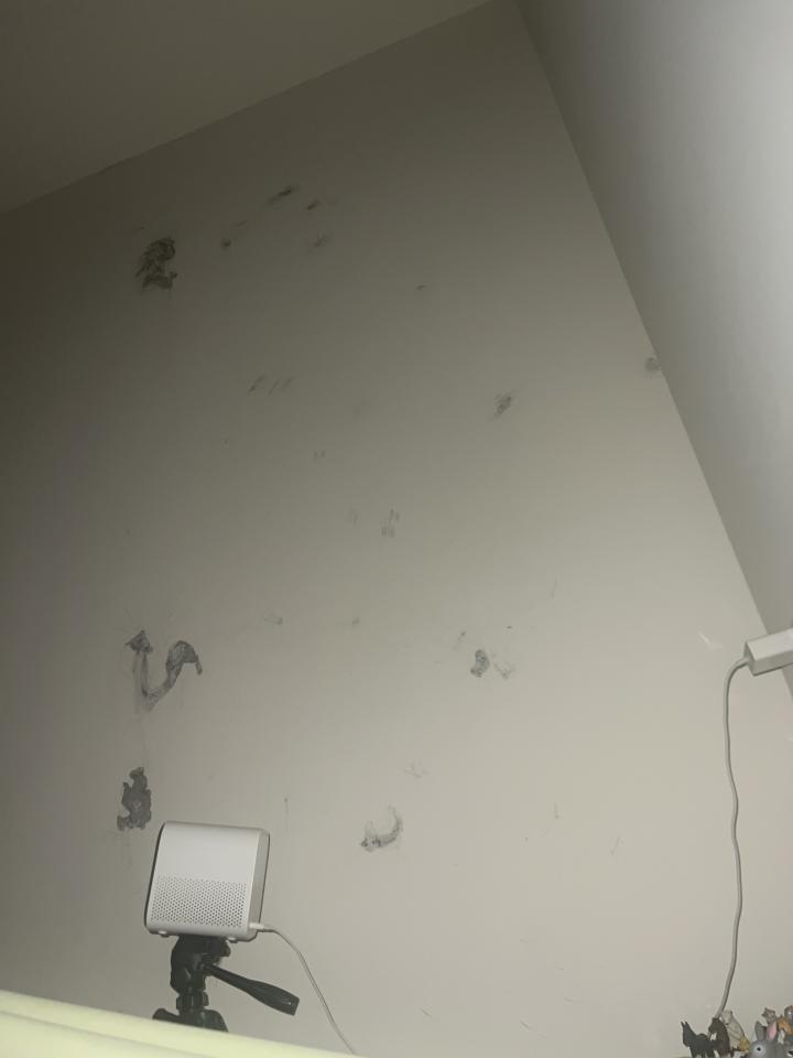 壁癌處理案件圖片