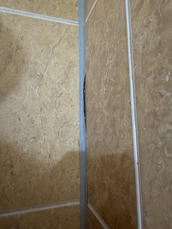 矽利康工程案件圖片