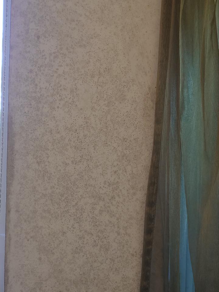 油漆工程案件圖片