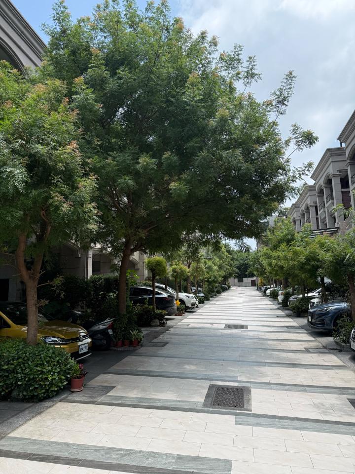 園藝維護案件圖片