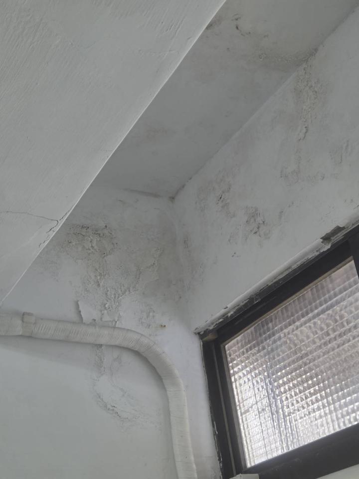 抓漏案件圖片