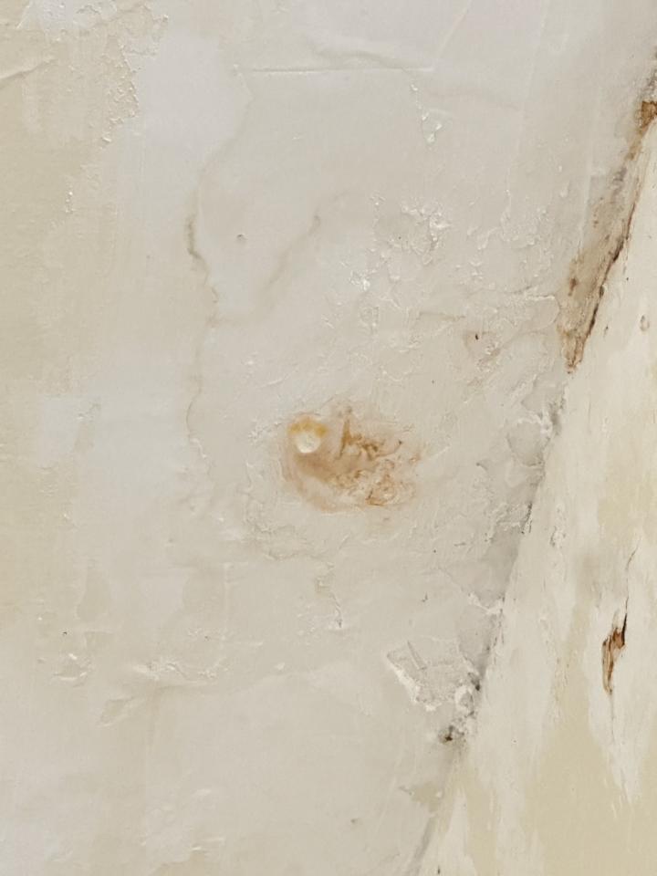 抓漏案件圖片
