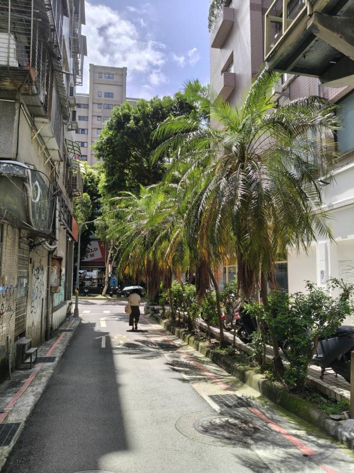 園藝維護案件圖片