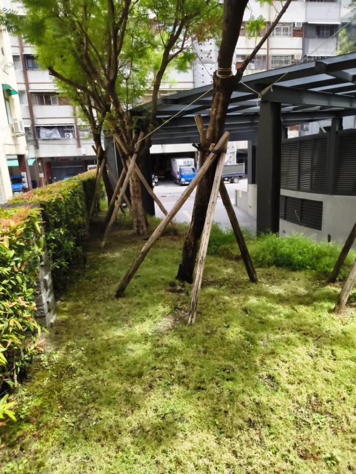 園藝維護案件圖片