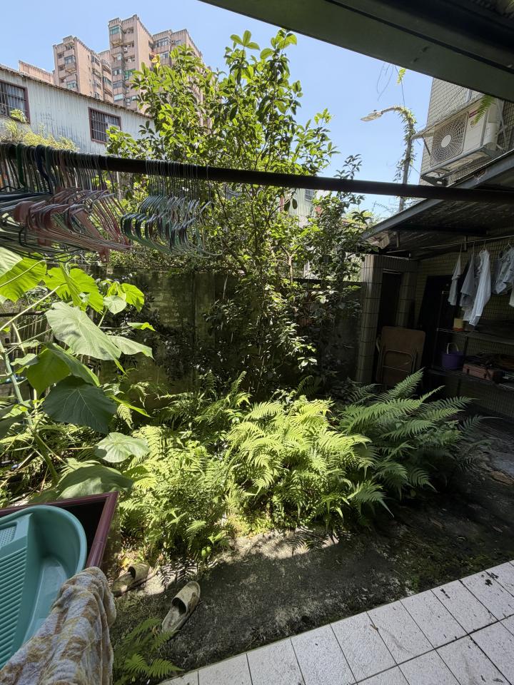 園藝維護案件圖片