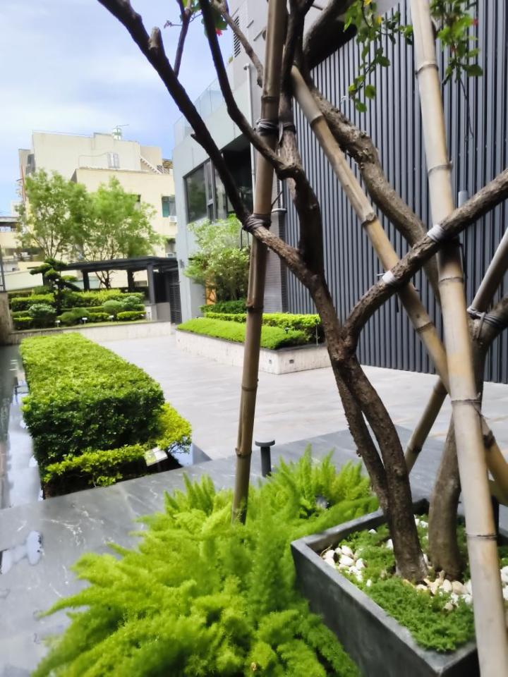 園藝維護案件圖片