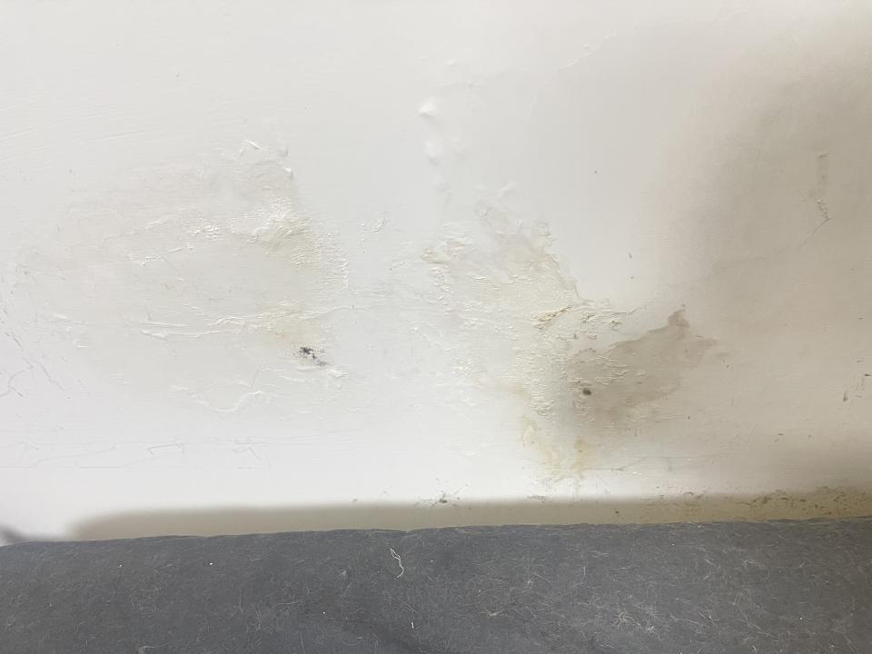 抓漏案件圖片