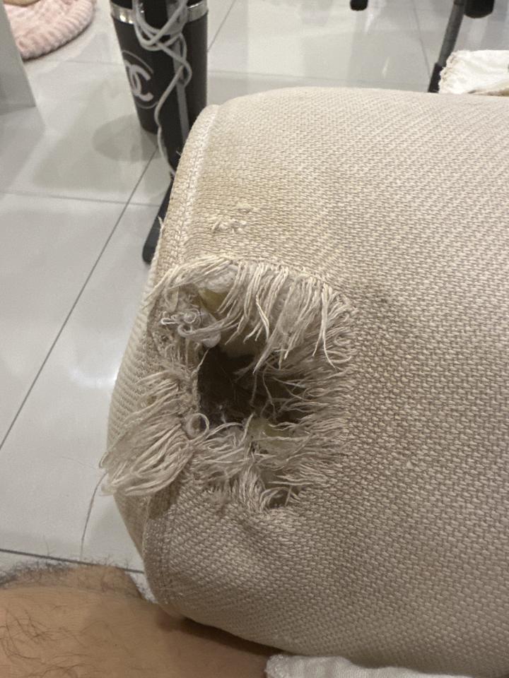 沙發修理案件圖片