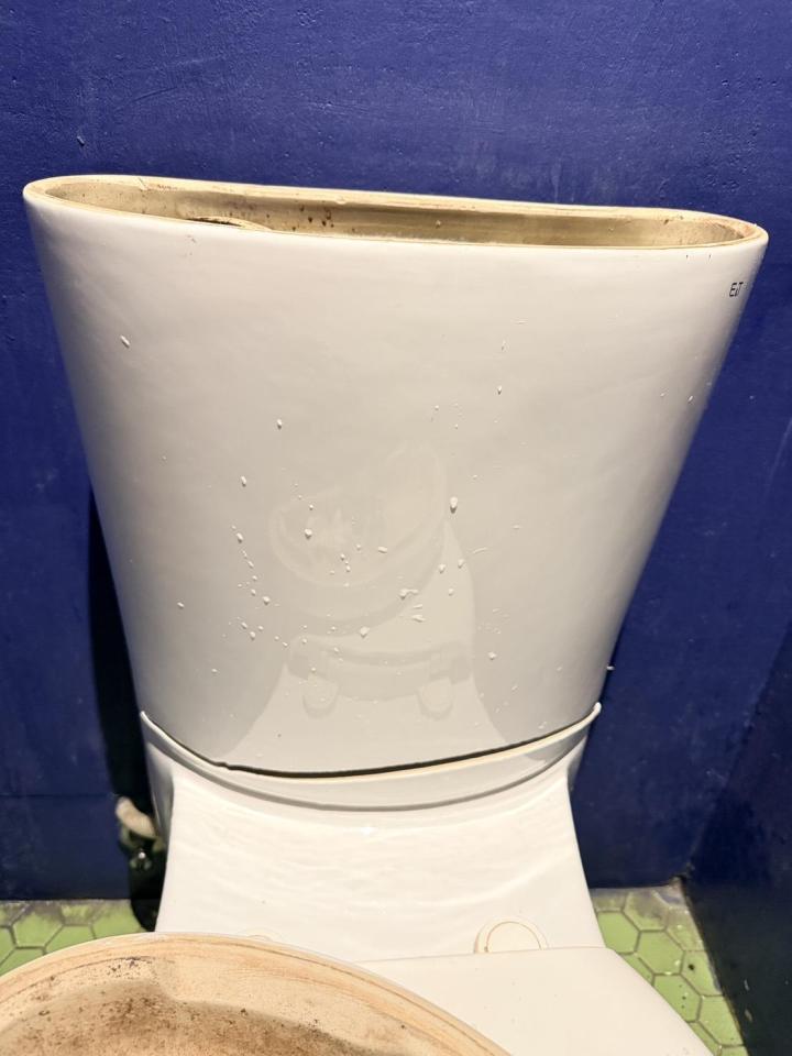 馬桶裝修案件圖片