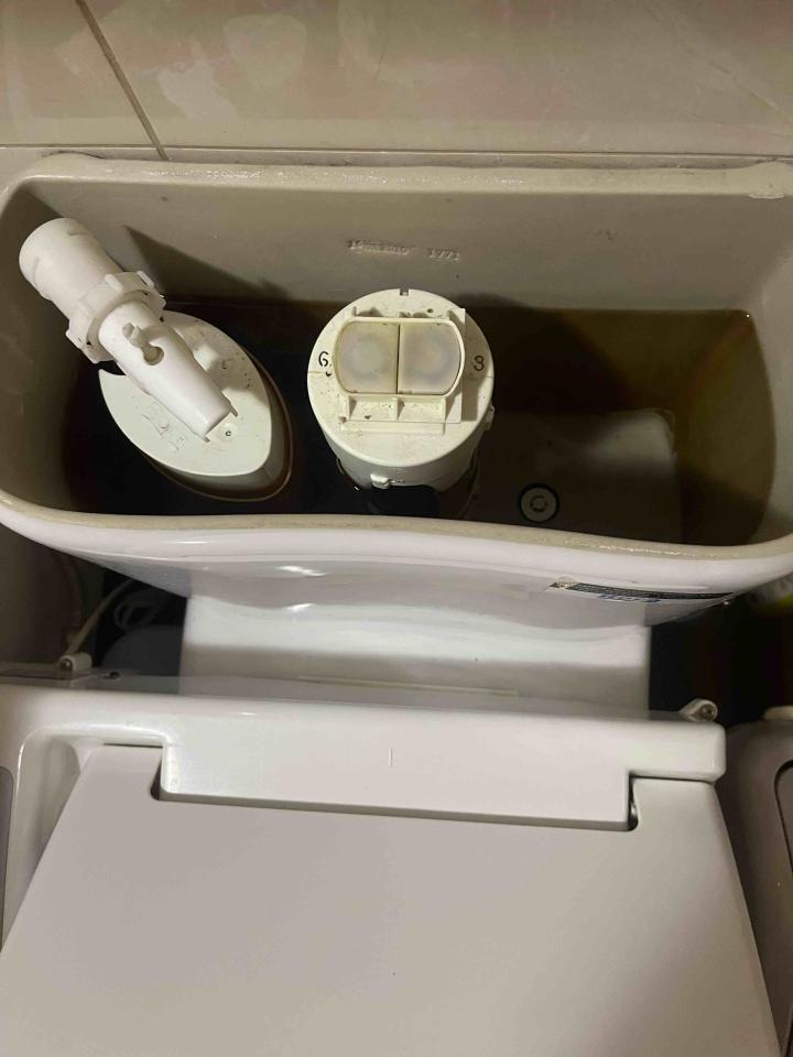 馬桶裝修案件圖片