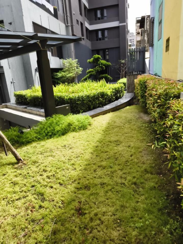 園藝維護案件圖片