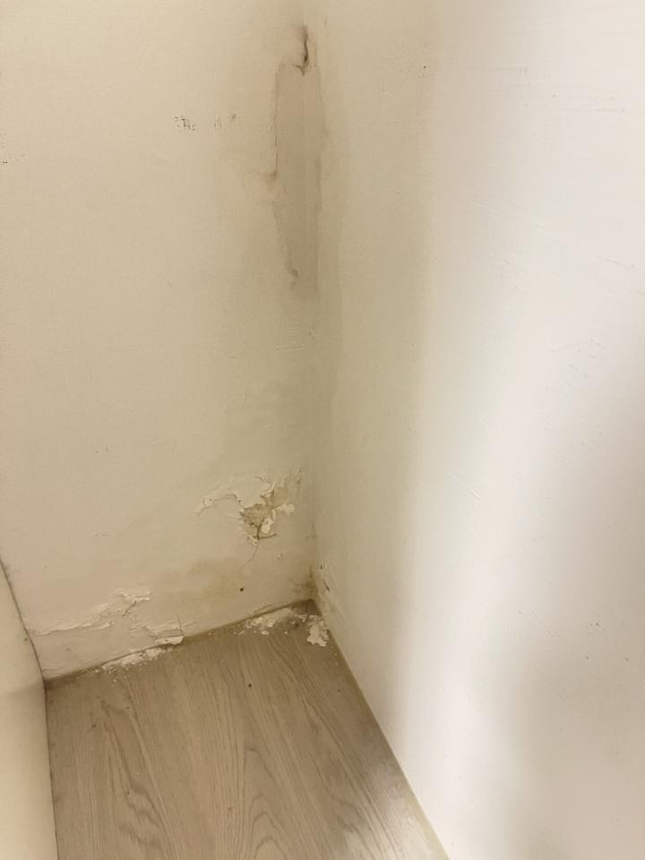 抓漏案件圖片