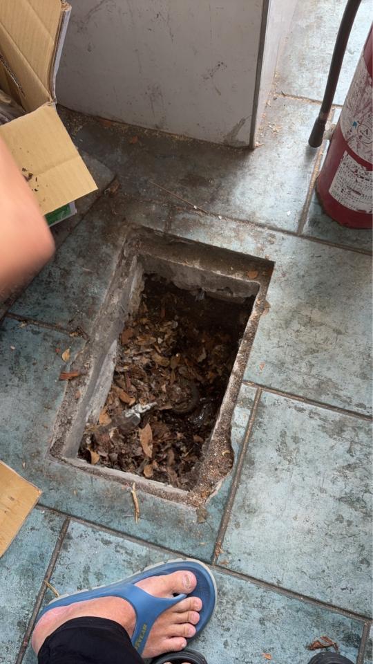 電線裝修案件圖片