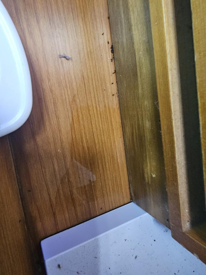 漏水處理案件圖片