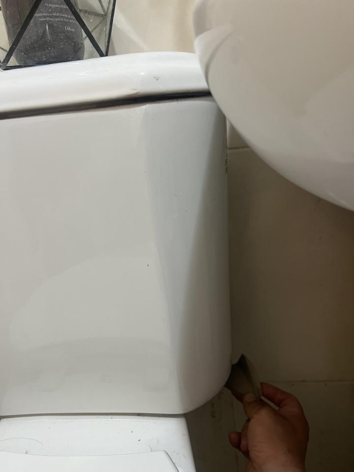 馬桶裝修案件圖片