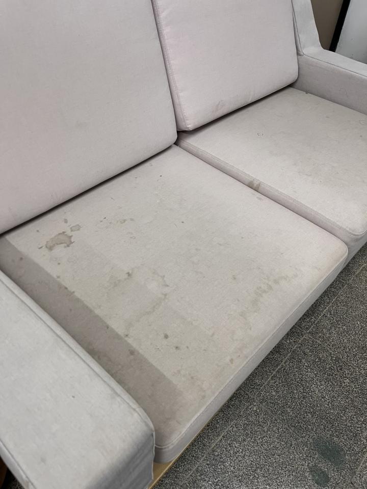沙發清潔案件圖片