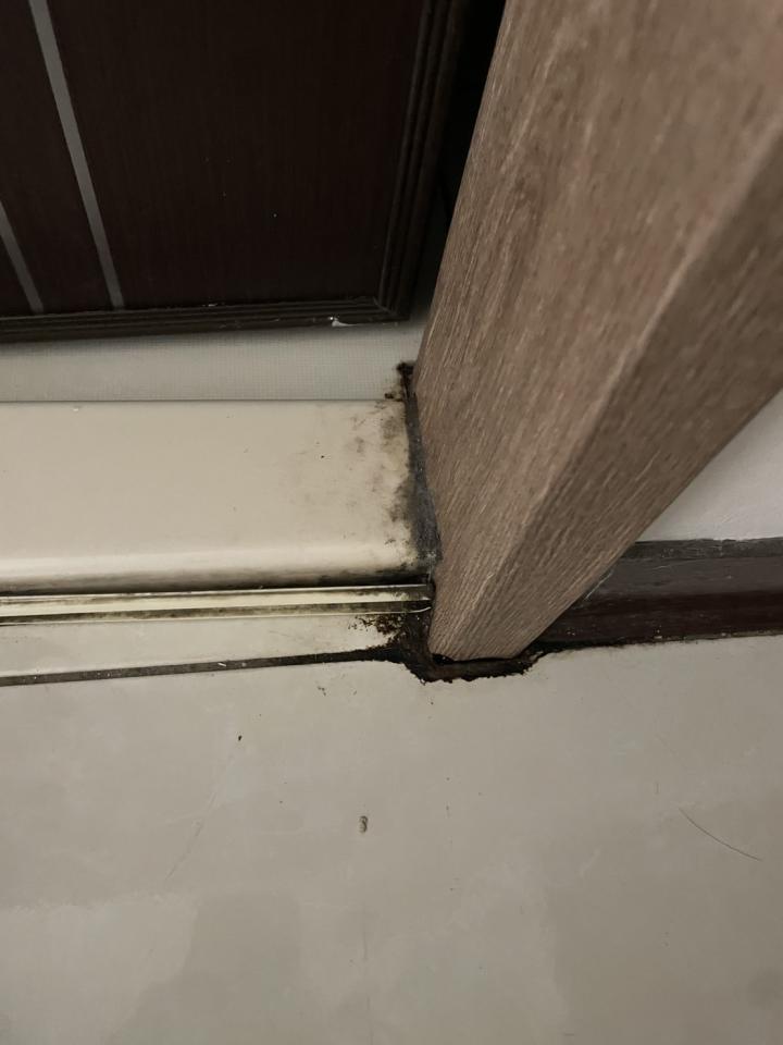 浴室門案件圖片