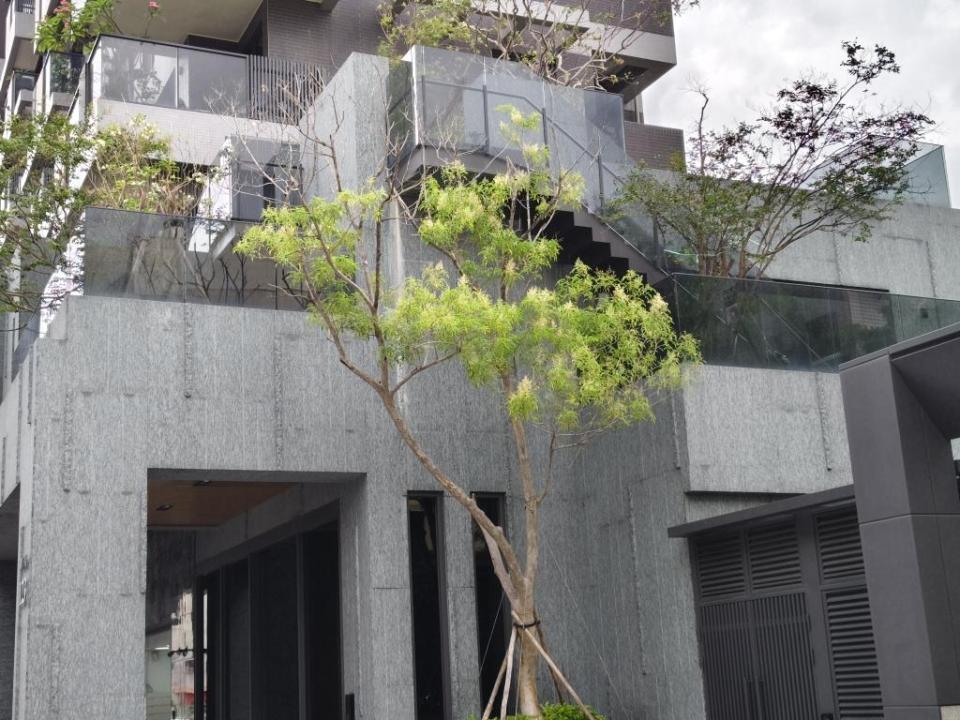 園藝維護案件圖片