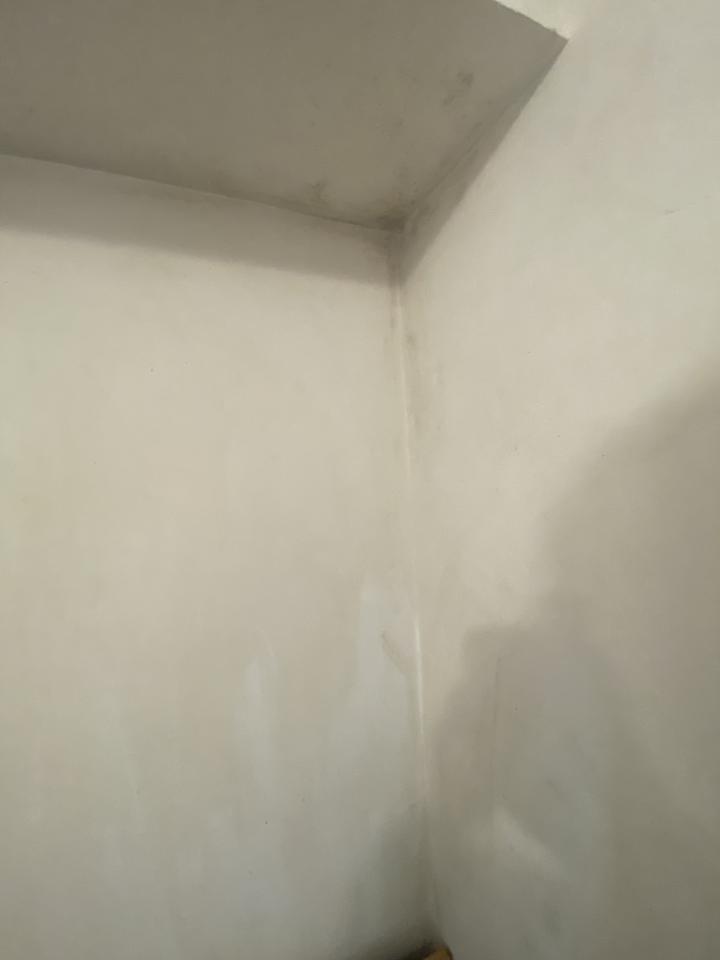 除霉案件圖片