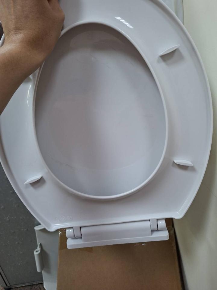馬桶裝修案件圖片