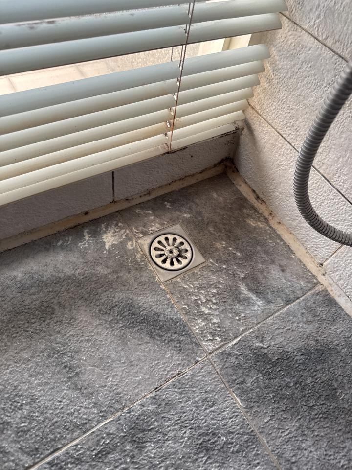 除霉案件圖片