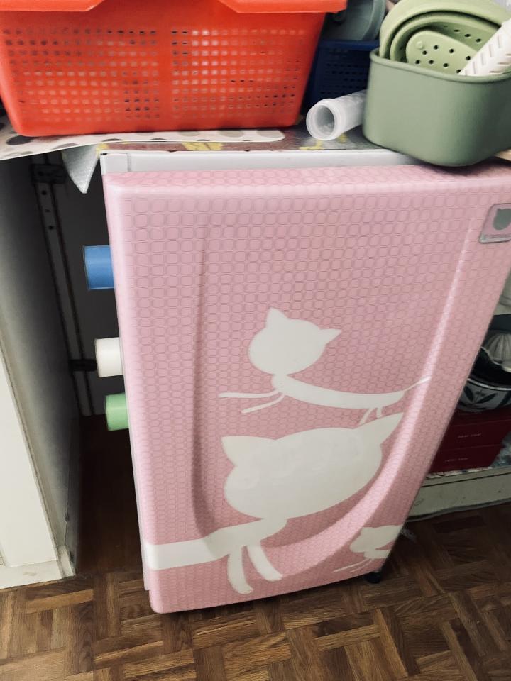 大型垃圾回收案件圖片