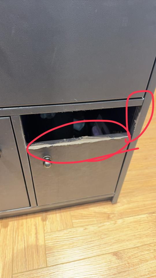 皮革保養案件圖片