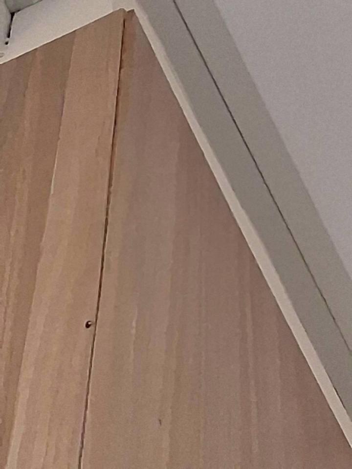 木工施工案件圖片