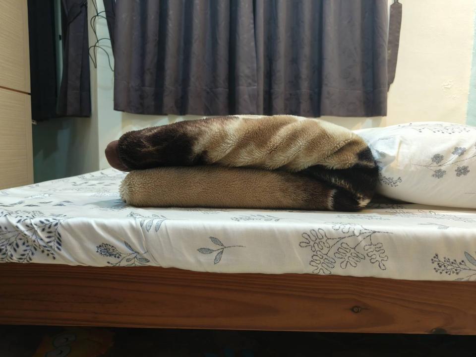 搬家案件圖片