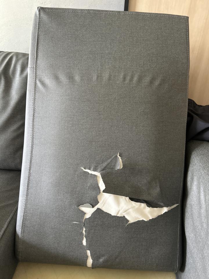 沙發修理案件圖片