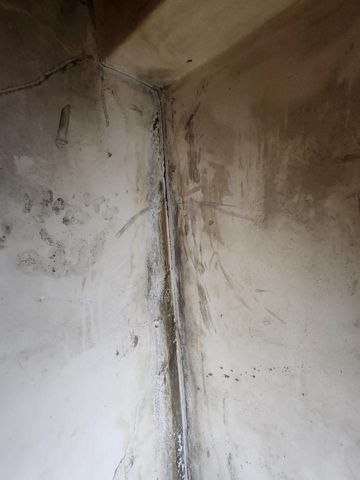 漏水處理案件圖片