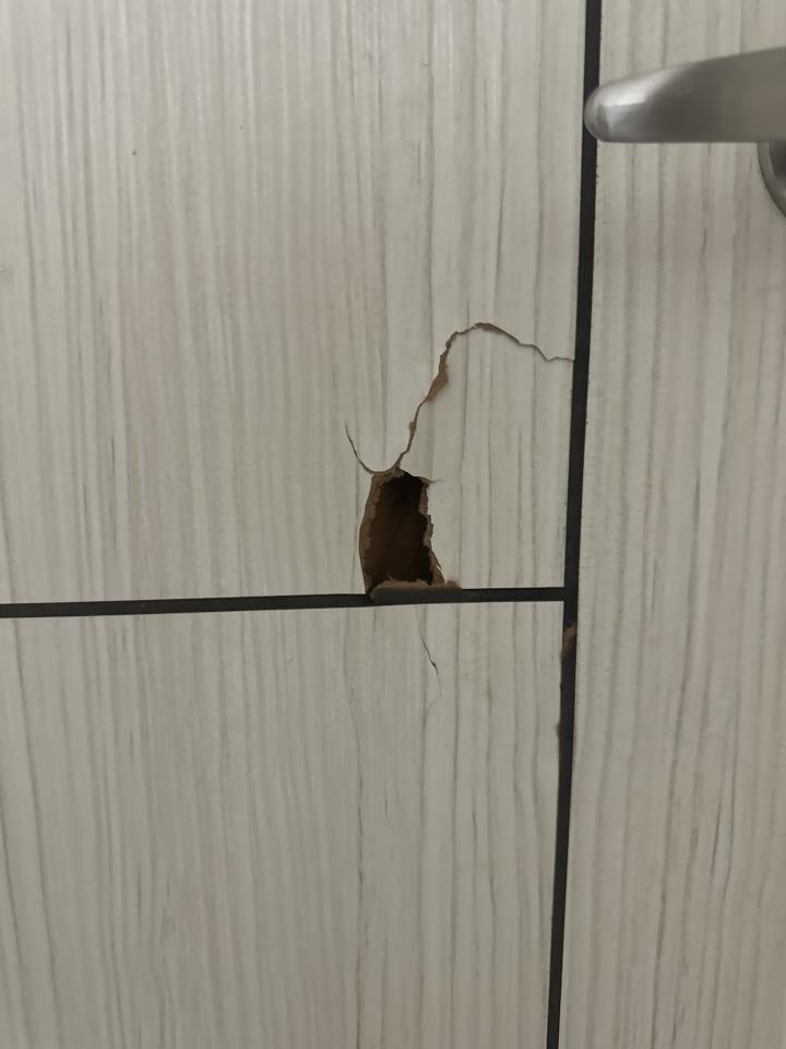 木門案件圖片