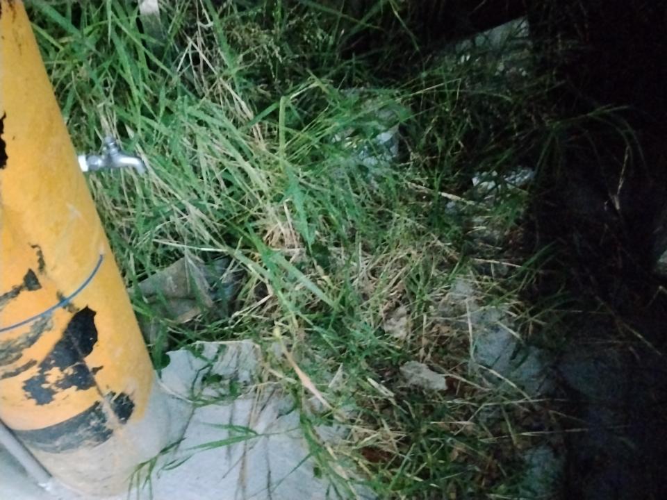 水龍頭裝修案件圖片