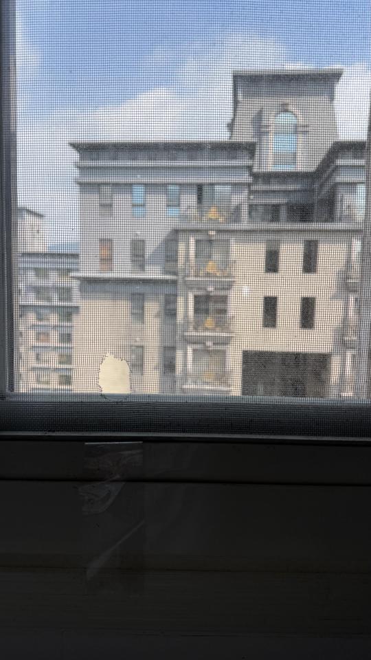 紗窗裝修案件圖片