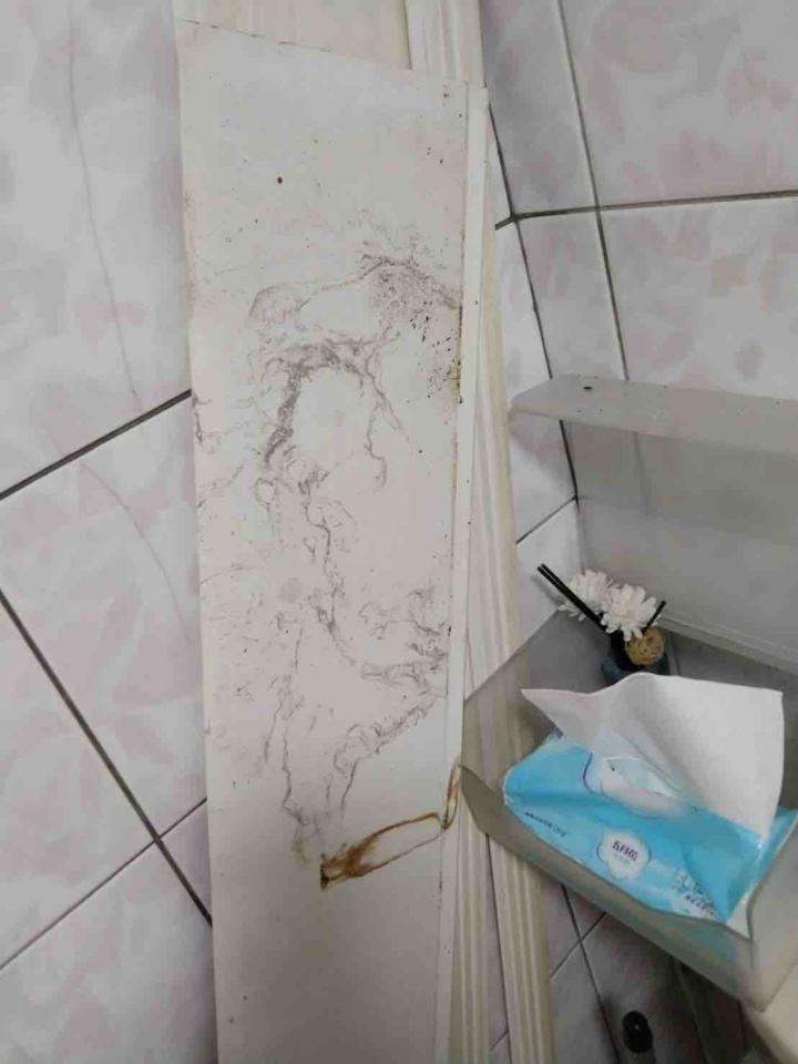 抓漏案件圖片