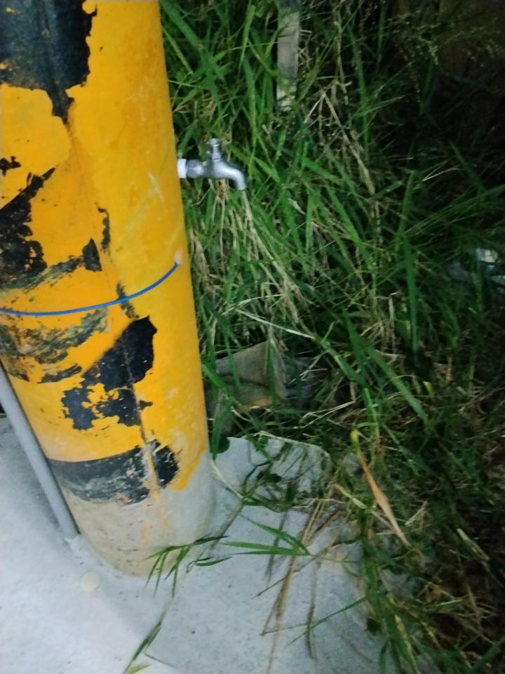 水龍頭裝修案件圖片