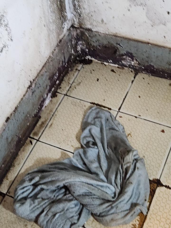 漏水處理案件圖片
