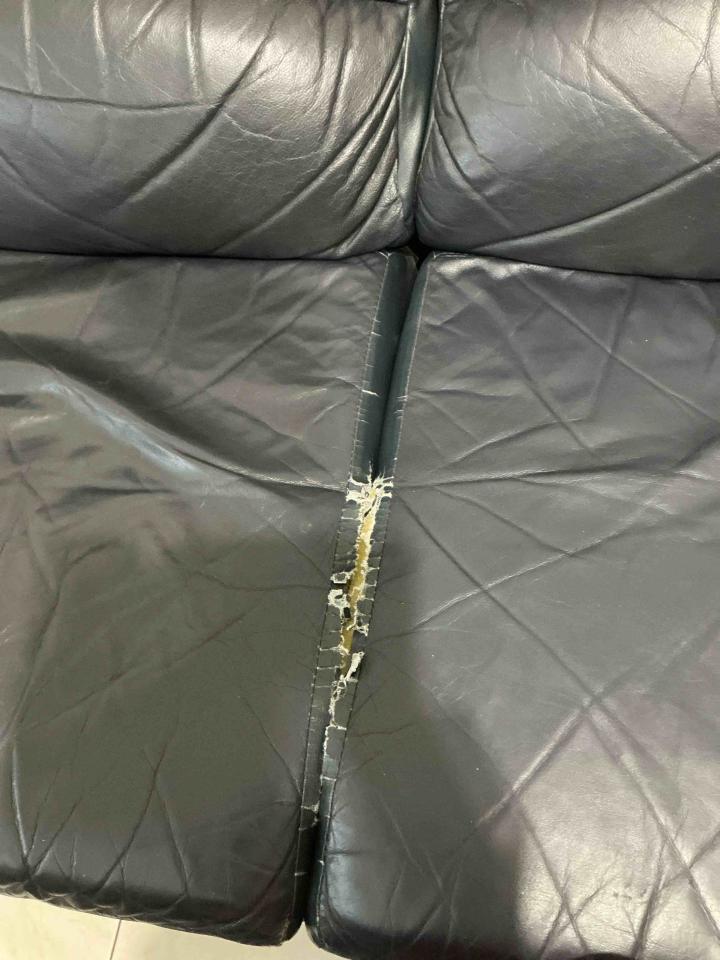 沙發修理案件圖片