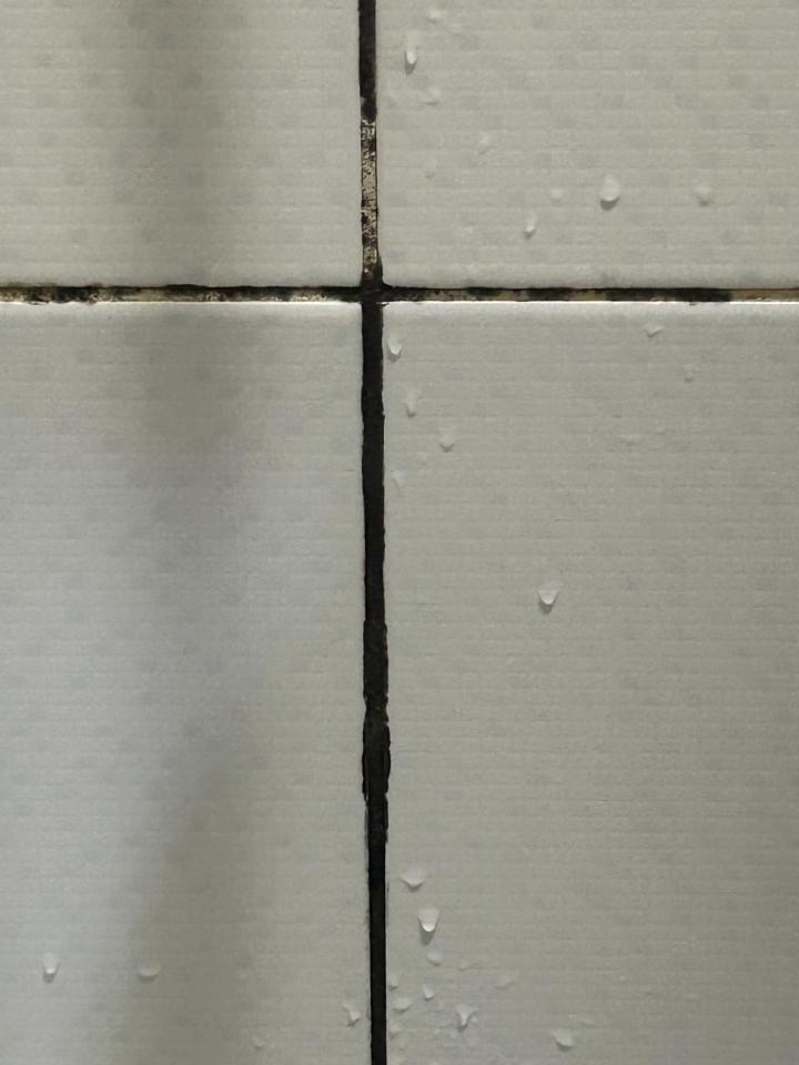 除霉案件圖片